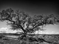 084 timelessness of american landscapes