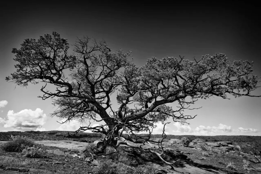 084 timelessness of american landscapes