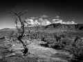 085 timelessness of american landscapes
