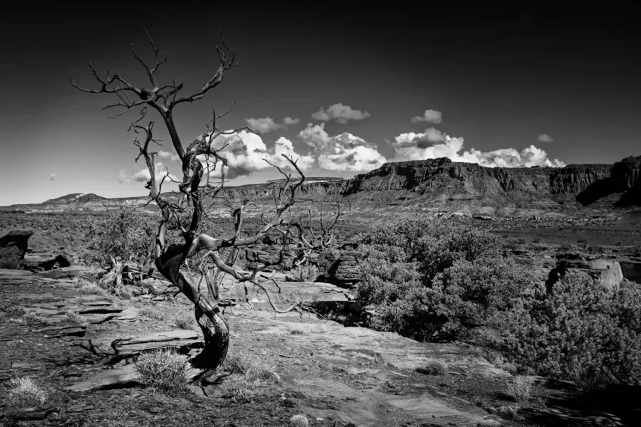 085 timelessness of american landscapes