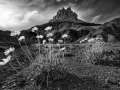090 timelessness of american landscapes