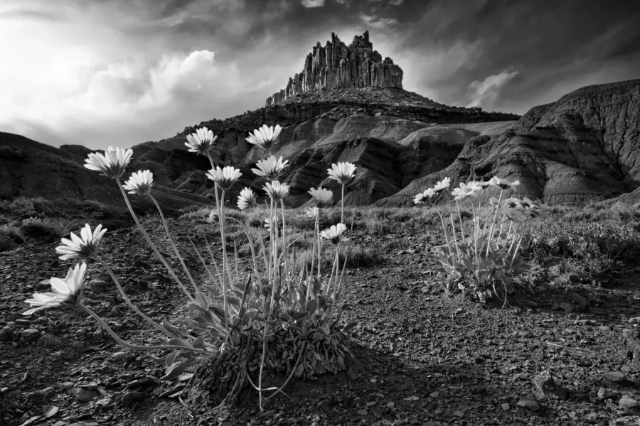 090 timelessness of american landscapes