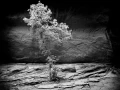093 timelessness of american landscapes