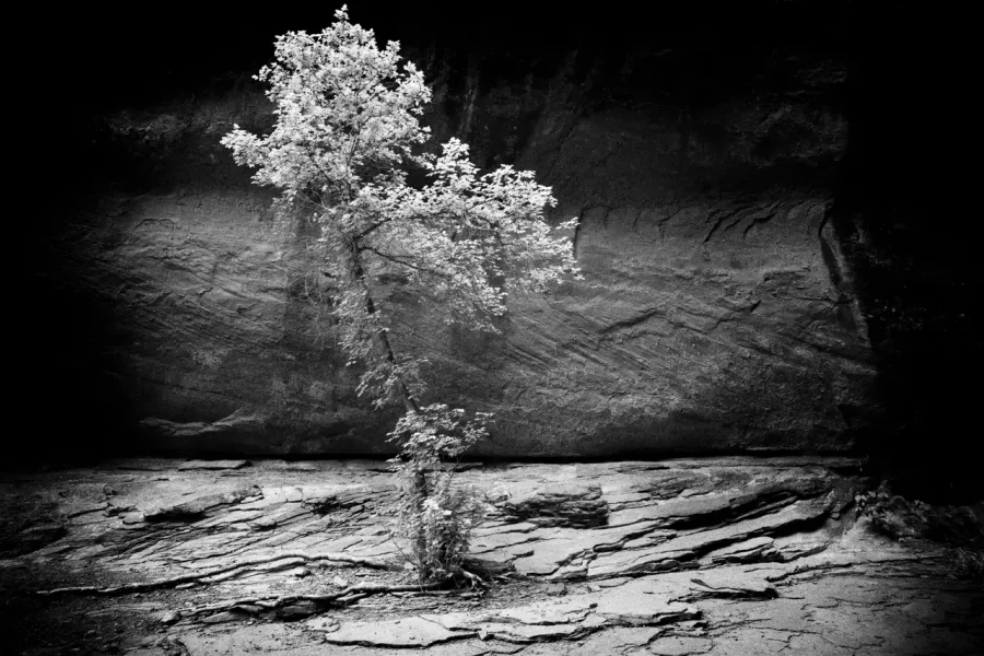 093 timelessness of american landscapes