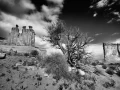 097 timelessness of american landscapes