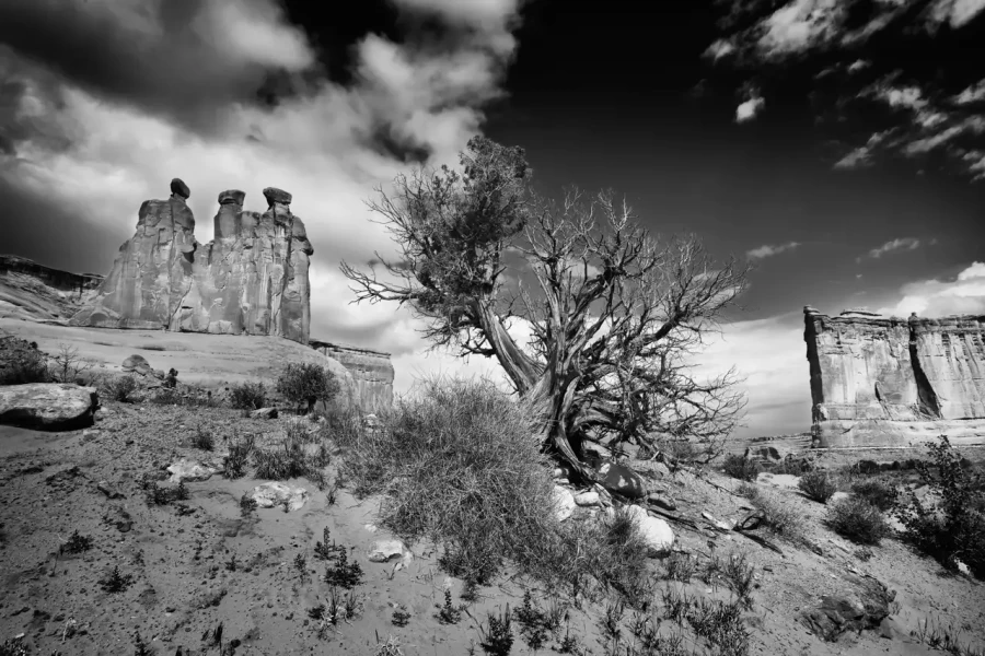 097 timelessness of american landscapes