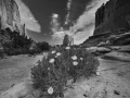 098 timelessness of american landscapes