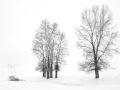 104 timelessness of american landscapes