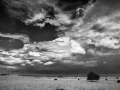 110 timelessness of american landscapes