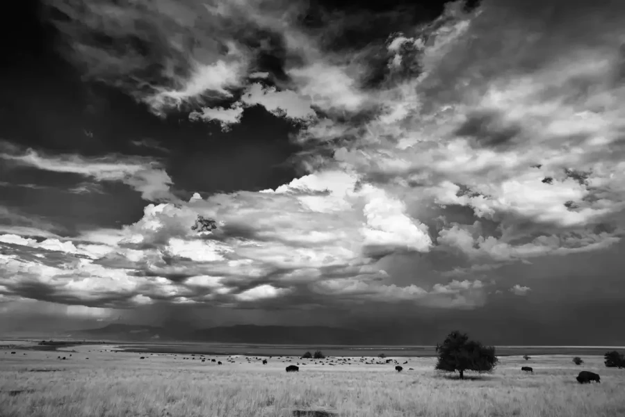 110 timelessness of american landscapes