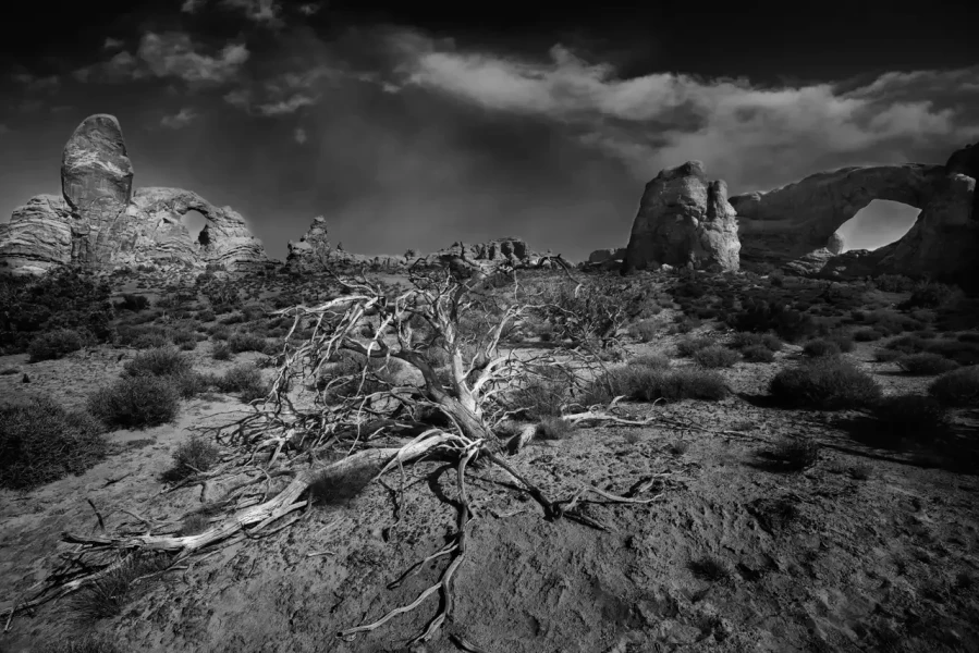 118 timelessness of american landscapes