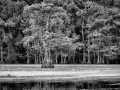 131 timelessness of american landscapes
