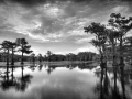 132 timelessness of american landscapes