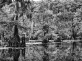 133 timelessness of american landscapes