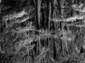 134 timelessness of american landscapes