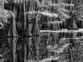 135 timelessness of american landscapes