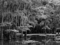 136 timelessness of american landscapes