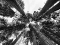 137 timelessness of american landscapes