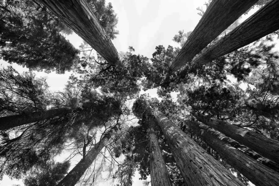 137 timelessness of american landscapes
