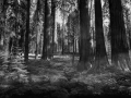 138 timelessness of american landscapes