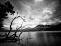 150 timelessness of american landscapes