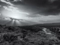 157 timelessness of american landscapes
