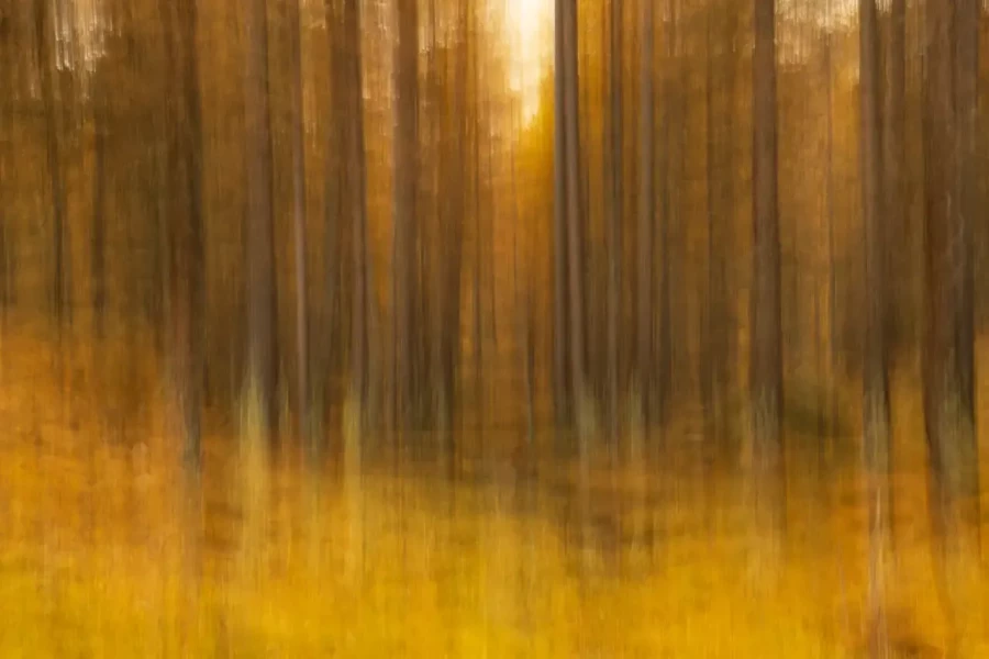 32 abstract photo of nature in color