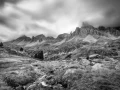 03 landscape in black and white