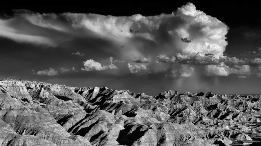 05 landscape in black and white