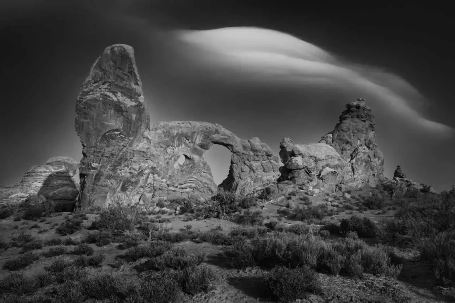11 landscape in black and white