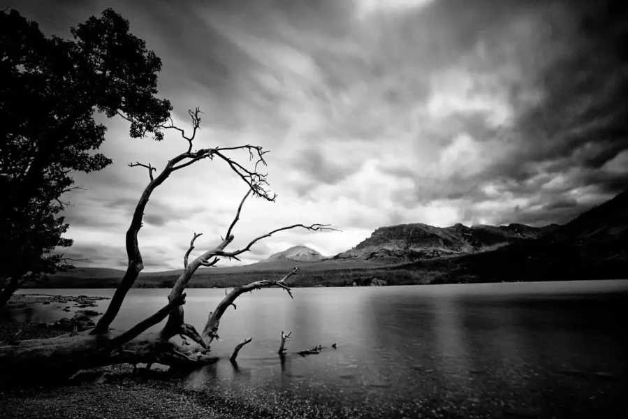 17 landscape in black and white