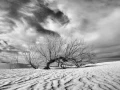 24 landscape in black and white