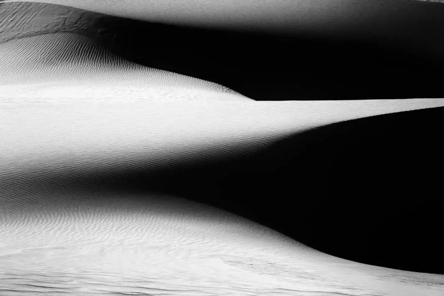 29 landscape in black and white