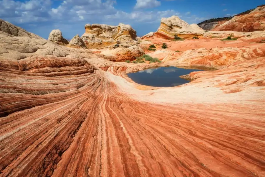 15 landscape in color