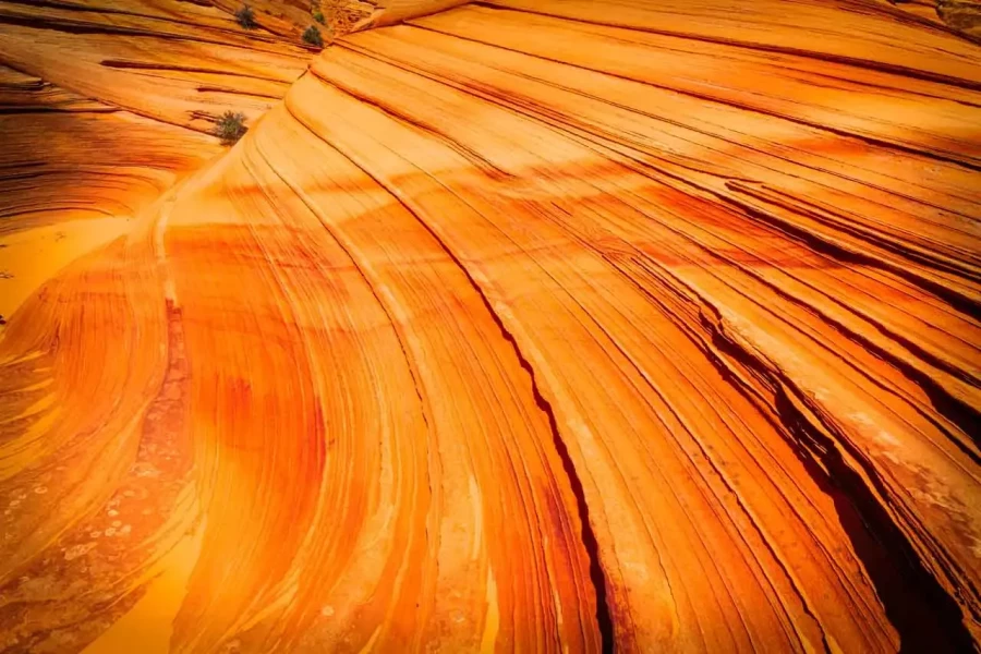 16 landscape in color