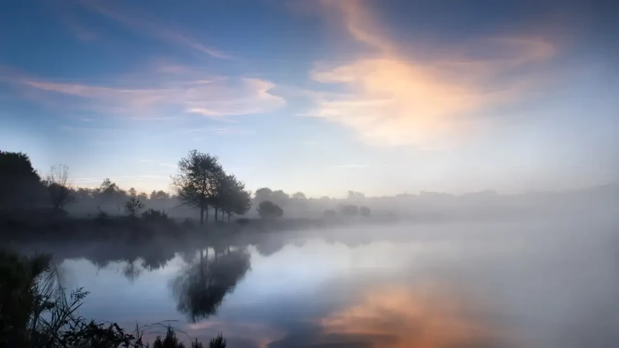 22 landscape in color