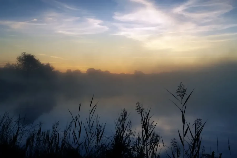 25 landscape in color