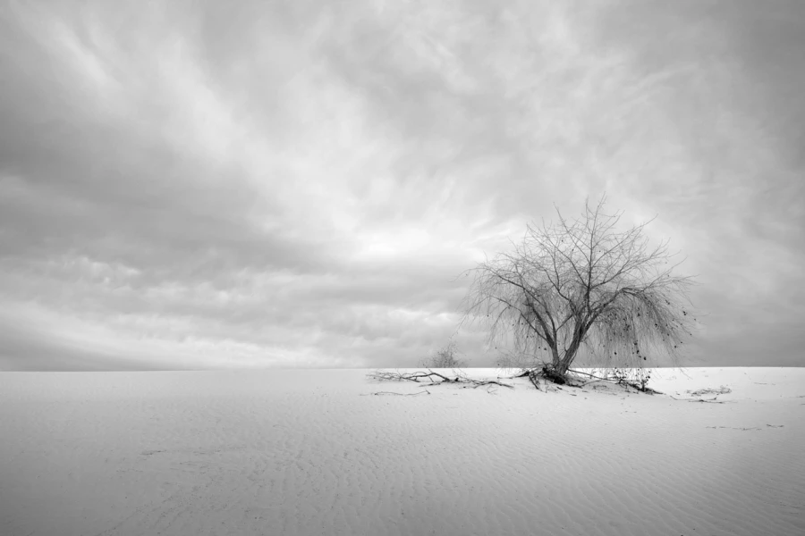 19 signature black and white amar guillen 19 signature black and white amar guillen