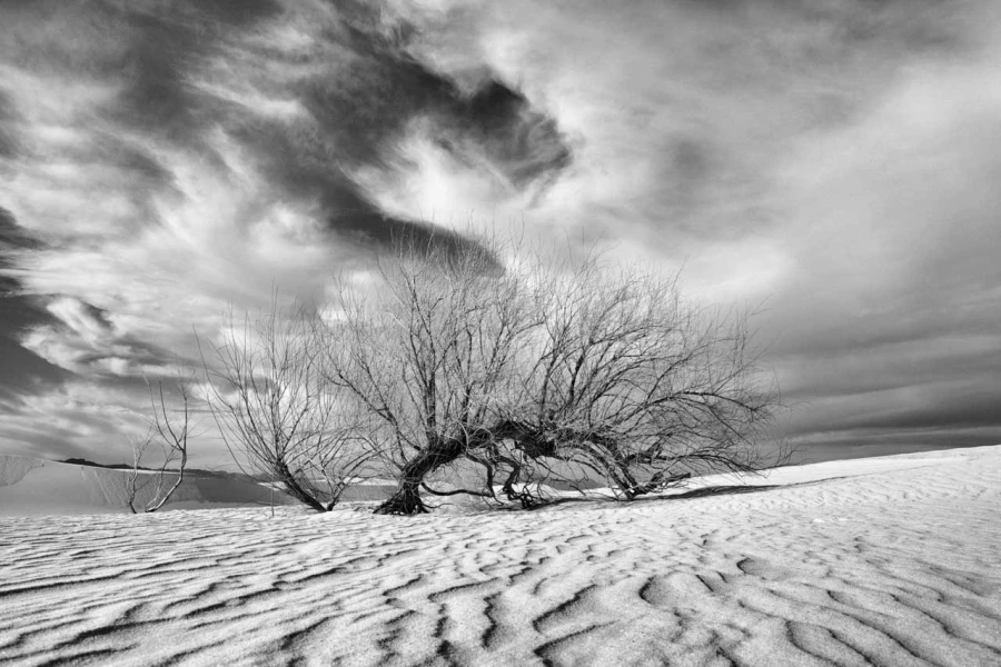21 signature black and white amar guillen 21 signature black and white amar guillen