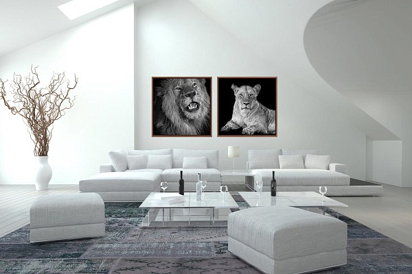 Photos d'art accrochées sur un mur d'un salon d'une maison contemporaine.