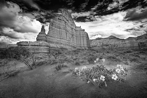 Paysage en noir et blanc de Cathedral Valley dans l'Utah aux Etats-Unis. Cette photo illustre le studium et le punctum.