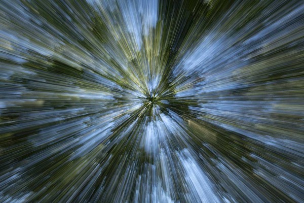 Sous-bois photographié de manière créative en zooming pour rendre hommage au film 'Retour vers le futur'. Photographie d'art en couleur par Amar Guillen, artiste photographe.