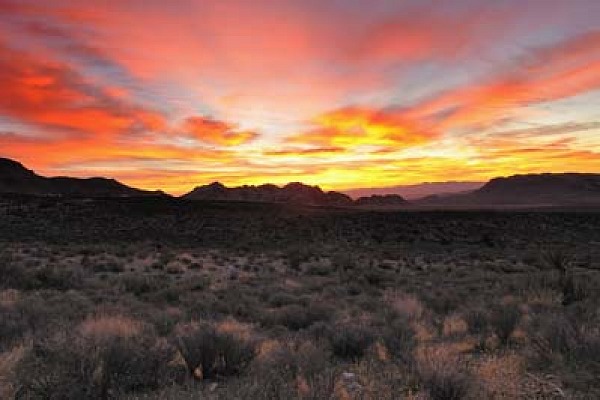Red Rock Canyon dans l'état du Nevada aux Etats-Unis. Photographies par Amar Guillen.