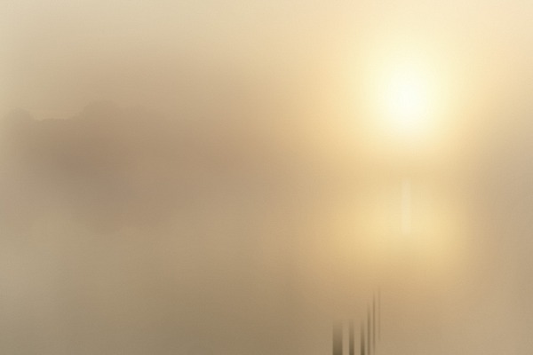 Pond bathed in the mist evoking the impression of the rising sun. Fine art Photograph in black and white by Amar Guillen, photographer artist.