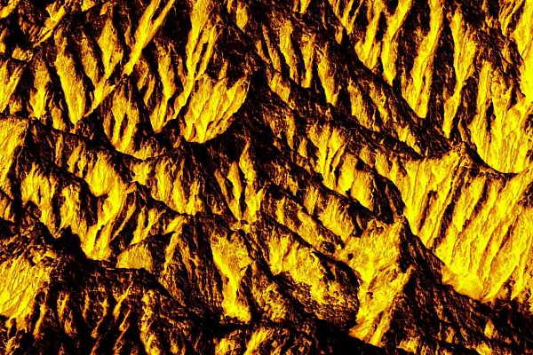 Conceptual and abstract photography of a landscape Petrified Forest. Photograph by Amar Guillen, photographer artist.
