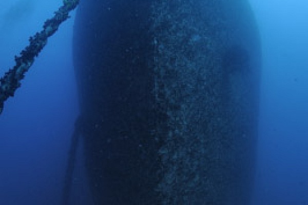 The wreck of Thistlegorm in the Red Sea. Photographs by Amar Guillen.