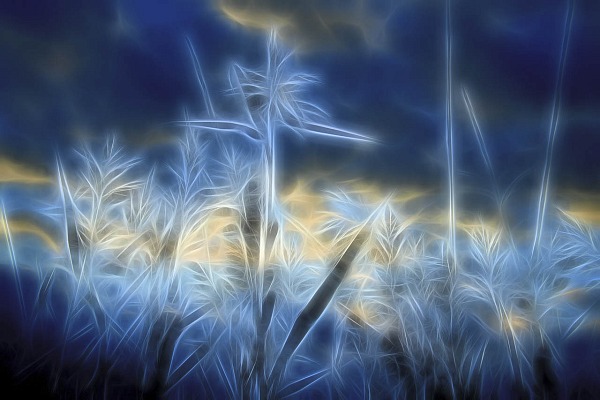 Paysage en couleur d'un bord d'étang photographié dans le style fusion. Photographie d'art couleur par Amar Guillen, artiste photographe.