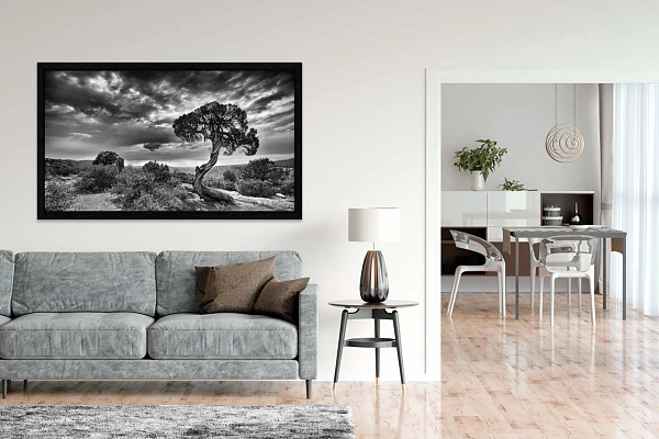 A black and white fine art print of a landscape displayed over a coach on a wall of a living room.