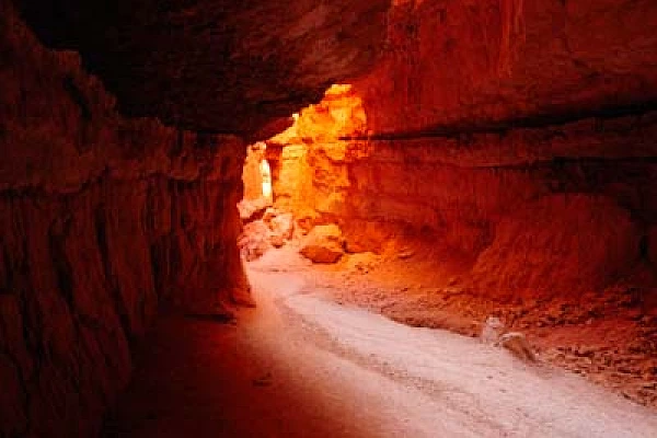 Landscapes of Bryce Canyon in the state of Utah in United States. Photographs by Amar Guillen.