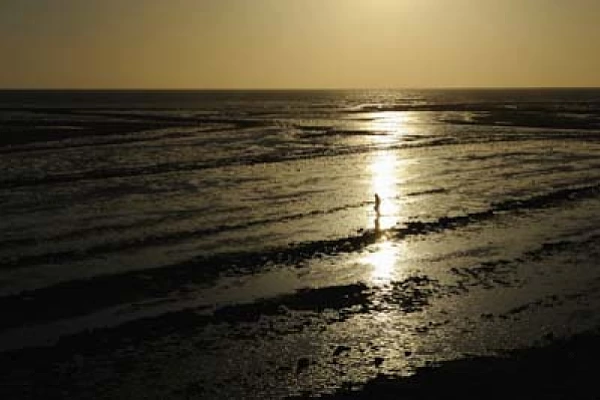 Landscapes of the coast of Charente-Maritime in France. Photographs by Amar Guillen.